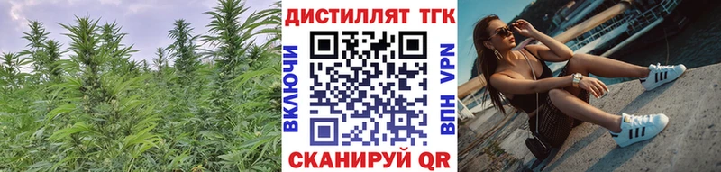 ТГК концентрат Арзамас