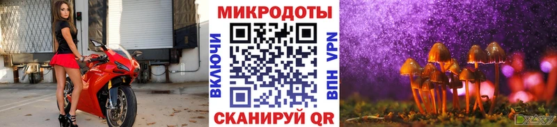 Псилоцибиновые грибы GOLDEN TEACHER  Купить  Арзамас 