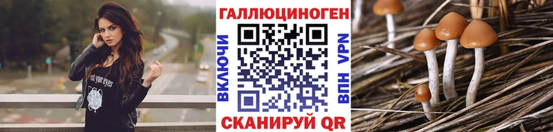 Псилоцибиновые грибы Psilocybe Арзамас